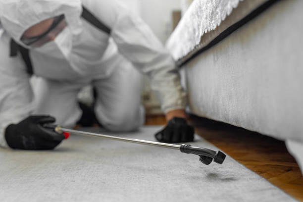 Professional Cockroach Control technician working in Cleveland County County, NC